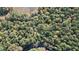 Beautiful aerial view of community showcasing vibrant autumn foliage and scenic roads, a picturesque landscape at 4060 Granite Ridge Trl, Raleigh, NC 27616