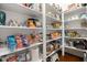 Walk-in pantry with an abundance of storage on shelves, bins and containers at 49 Bonterra Way, Chapel Hill, NC 27516