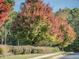 Beautiful tree with vibrant autumn foliage along a quiet street with well-maintained landscaping at 601 Golfers Vw, Pittsboro, NC 27312
