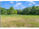 Large grassy area with a backdrop of lush green trees on a sunny day at 9004 Penny Rd, Raleigh, NC 27606