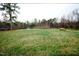 Expansive green backyard with trees and outbuildings, offering potential for outdoor enjoyment at 10125 Buffalo Rd, Clayton, NC 27527