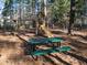 A backyard featuring playground and picnic table in a wooded area at 138 Daneborg Rd, Durham, NC 27703
