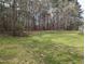 Large backyard with grass and mature trees at 212 Davis Farm Dr, Selma, NC 27576