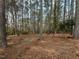 View of heavily wooded property at 314 Mill Creek Dr, Fuquay Varina, NC 27526