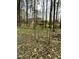 Backyard with chain link fence, surrounded by trees providing a private outdoor space at 128 Madeline Ct, Youngsville, NC 27596