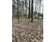 Leaf-covered backyard offering a serene natural setting and a fenced perimeter at 128 Madeline Ct, Youngsville, NC 27596