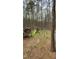 Spacious backyard with a playground set, mature trees, and room to play at 128 Madeline Ct, Youngsville, NC 27596
