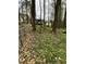 Spacious backyard with a chain-link fence and wooded area, offering privacy and natural beauty at 128 Madeline Ct, Youngsville, NC 27596