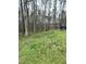 Lush backyard with grass and wooded area, featuring a fenced boundary at 128 Madeline Ct, Youngsville, NC 27596