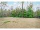 Spacious backyard enclosed by a black fence, showcasing ample green space and privacy at 156 Greenhurst Cir, Holly Springs, NC 27540