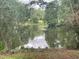 Scenic view of a serene pond surrounded by lush greenery and trees at 182 Tree Cutters, Sanford, NC 27332