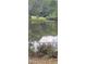 Reflection of blue skies on a beautiful and lush pond at 182 Tree Cutters, Sanford, NC 27332