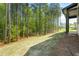 A peaceful backyard view, with tall trees providing shade and a sense of seclusion at 230 Sutherland Dr, Franklinton, NC 27525