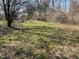 This image shows a grass covered parcel of land surrounded by trees and shrubs at 2711 Ashe St, Durham, NC 27703