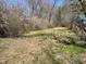 A view of a grass covered parcel of land surrounded by trees and shrubs at 2711 Ashe St, Durham, NC 27703