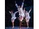 Three dancers dancing in front of a decorated Christmas tree with fake snow at 2015 Trident Maple Ln, Chapel Hill, NC 27517