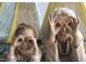Grandmother and granddaughter making funny faces, spending quality time together at 3933 Willow Gate Way, Knightdale, NC 27604