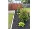 Landscaped backyard with a privacy fence and well-maintained garden beds, offering a serene outdoor space at 917 Widewaters Pkwy, Knightdale, NC 27545