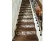 Unique staircase design with decorative tile risers and wood treads at 917 Widewaters Pkwy, Knightdale, NC 27545