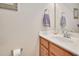 Half-bath with updated vanity and mirror at 1106 Bellenden Dr, Durham, NC 27713