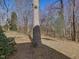 A view of the backyard with a large tree and some undergrowth at 1961 Indianwood Ct, Raleigh, NC 27604