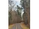 Picturesque walking trail lined with trees and a yellow stripe for clear path guidance at 5818 Humanity Ln, Raleigh, NC 27616