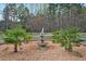 Landscaped roundabout with water feature and palm trees at 765 Townsville Landing Rd, Henderson, NC 27537