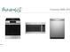 Selection of kitchen appliances for Crescent Mills 254 at 108 N Stonemill Trl # Homesite 254, Wilson's Mills, NC 27520