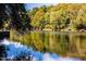 A tranquil river view surrounded by lush trees, creating a peaceful natural landscape at 280 Hank Way, Angier, NC 27501