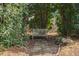 Secluded backyard bench surrounded by trees, plants, and stone pathway at 3708 Wesley Ridge Dr, Apex, NC 27539