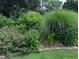 Beautiful garden filled with a variety of plants and flowers, enhancing the natural beauty of the outdoor space at 3708 Wesley Ridge Dr, Apex, NC 27539