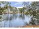 Scenic pond view surrounded by mature trees and nature's beauty at 3715 Rawls Church Rd, Fuquay Varina, NC 27526