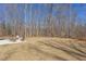 The backyard features Adirondack chairs around a fire pit, ideal for outdoor gatherings at 3901 Laurel Creek Ln, Wake Forest, NC 27587