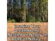 Large wooded lot for a custom home at 69 White Azalea Way, Homesite 81, Benson, NC 27504