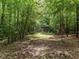 View of the backyard disc golf area surrounded by mature trees at 730 Toms Creek Rd, Cary, NC 27519