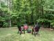 Backyard with outdoor seating area and fire pit with wooded views at 730 Toms Creek Rd, Cary, NC 27519