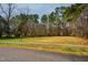 A common area with a sidewalk, grassy area, picnic tables, and surrounding trees at 121 Westview Dr # 106, Carrboro, NC 27510