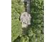 Bird's eye view of gray roof with mature treeline at 1425 Princess Anne Rd, Cary, NC 27607