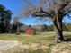 Large, grassy backyard featuring a red storage shed and mature trees providing ample shade and privacy at 148 Baptist Church Rd, Henderson, NC 27537