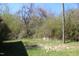 An overgrown, tree filled backyard space perfect for a naturalist at 2984 Ashe Ave, Dunn, NC 28334