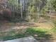 Spacious backyard with lush greenery and trees, providing a serene and private outdoor space at 316 Arbor Greene Dr, Garner, NC 27529