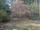 Private backyard with mature trees and lush greenery, offering a peaceful and natural retreat at 316 Arbor Greene Dr, Garner, NC 27529