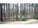 Scenic backyard view featuring a black metal fence bordering a lush green area and dense trees at 525 Rockcastle Dr, Cary, NC 27519