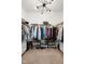 Spacious walk-in closet featuring custom shelving, ample storage, and modern lighting fixture at 74 Silver Moon Ln, Clayton, NC 27527