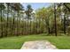 Expansive backyard featuring a concrete pad and mature trees at 804 E D St, Butner, NC 27509