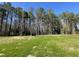 Grassy backyard with tree-lined boundaries, providing both space and privacy at 95 Tulipfield Way, Benson, NC 27504