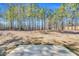 Large lot showcasing a blank canvas perfect for a backyard, featuring a patio and tree line at 286 Beacon Hill Rd, Lillington, NC 27546