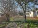 Overgrown backyard with trees, grass, and building in the distance at 306 Martin Luther King Jr Dr, Smithfield, NC 27577