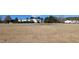 Single-story home sits on a sprawling lawn, blending rural charm with comfortable living at 4600 Strawbush Rd, Spring Hope, NC 27882