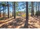 Picturesque backyard showcasing the home framed by tall trees at 105 Byron Ct, Oxford, NC 27565